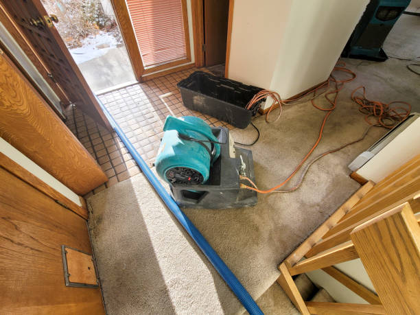 Best Mold Prevention and Remediation in Fairmount, TN